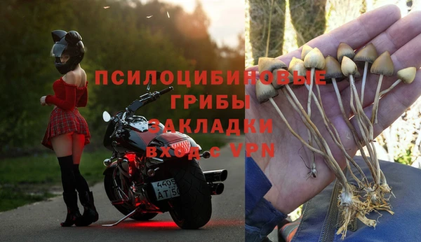 стафф Алексеевка